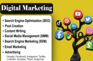 I will review your social media and create a digital marketing strategy
